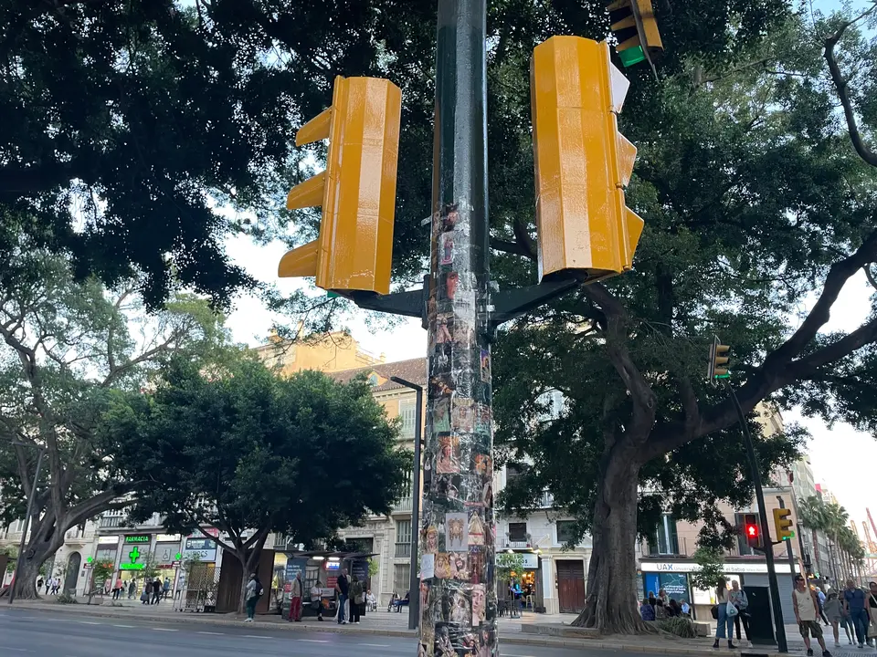 IMG_7213