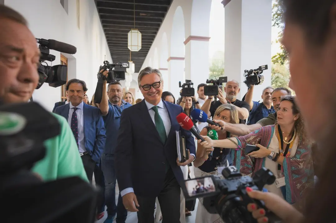 El portavoz de Vox en Andaluc&iacute;a, Manolo Gavira, en su llegada al Parlamento / Vox