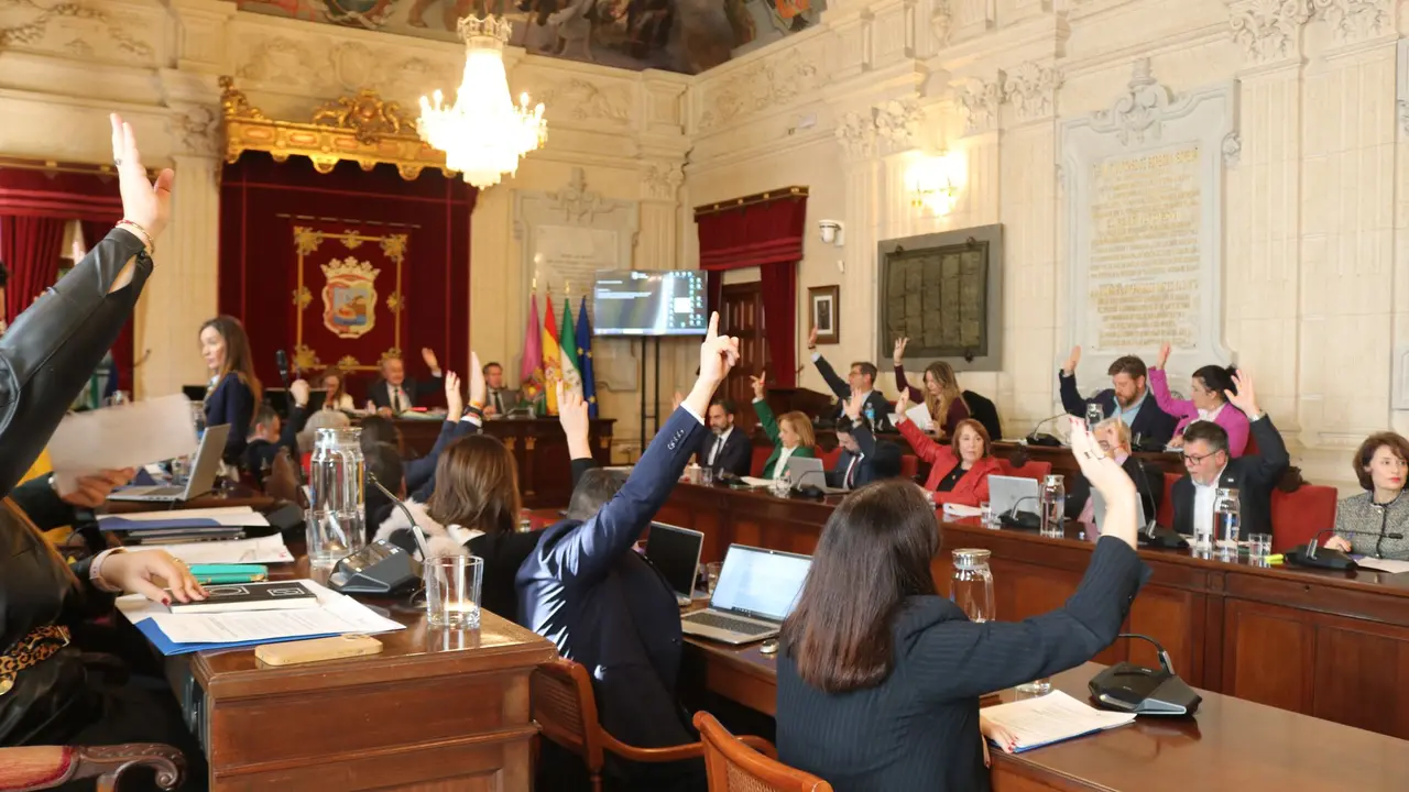 Ayuntamiento M&aacute;laga - Universitas