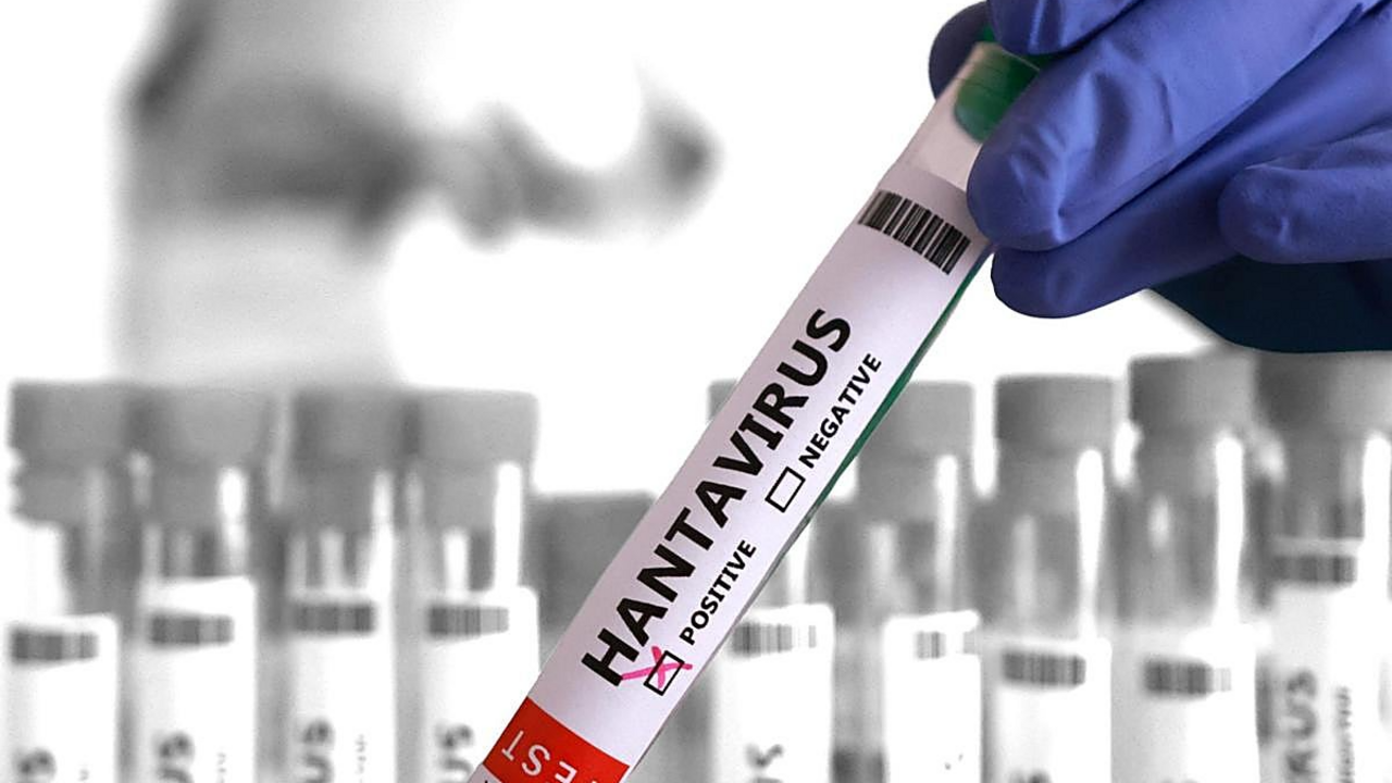 Hantavirus Reuters