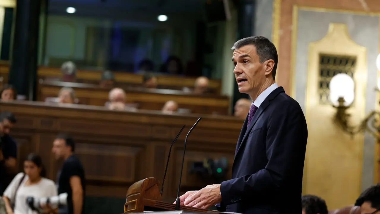 El presidente del Gobierno, Pedro S&aacute;nchez, en una imagen de archivo / Congreso de los Diputados