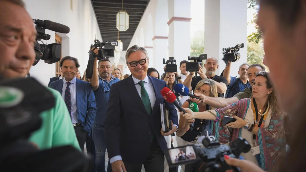 El portavoz de Vox en Andaluc&iacute;a, Manolo Gavira, en su llegada al Parlamento / Vox