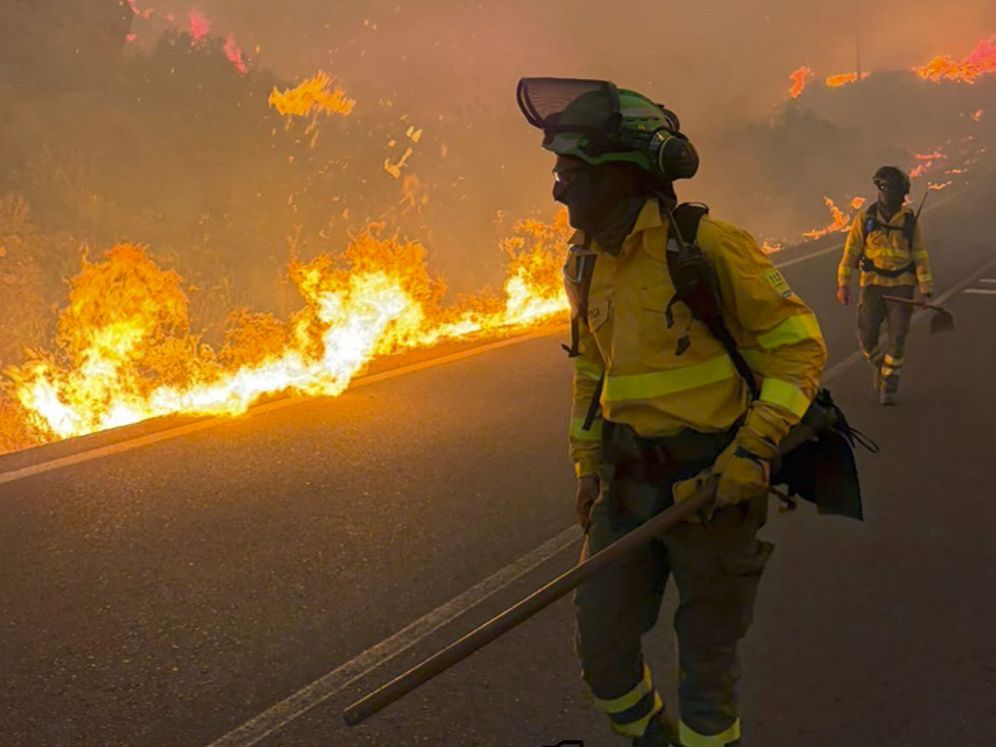 Efectivos del Plan Infoca luchan contra el fuego en Los Gallardos / Junta de Andalucía